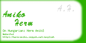 aniko herm business card